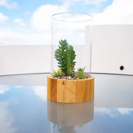 La Centenaria 1920 *