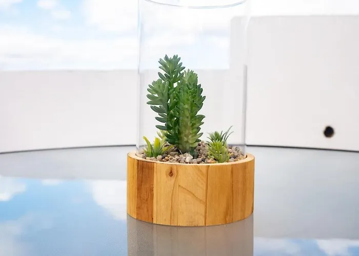 La Centenaria 1920 *